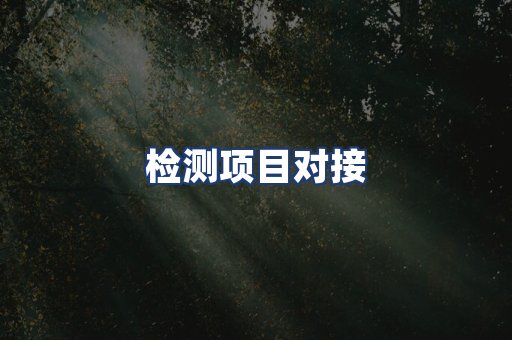 检测项目对接